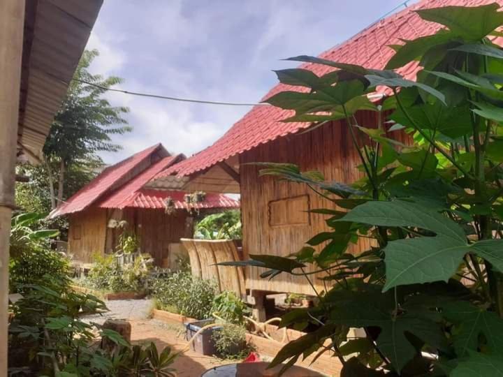 Homestay Odambang Village Battambang