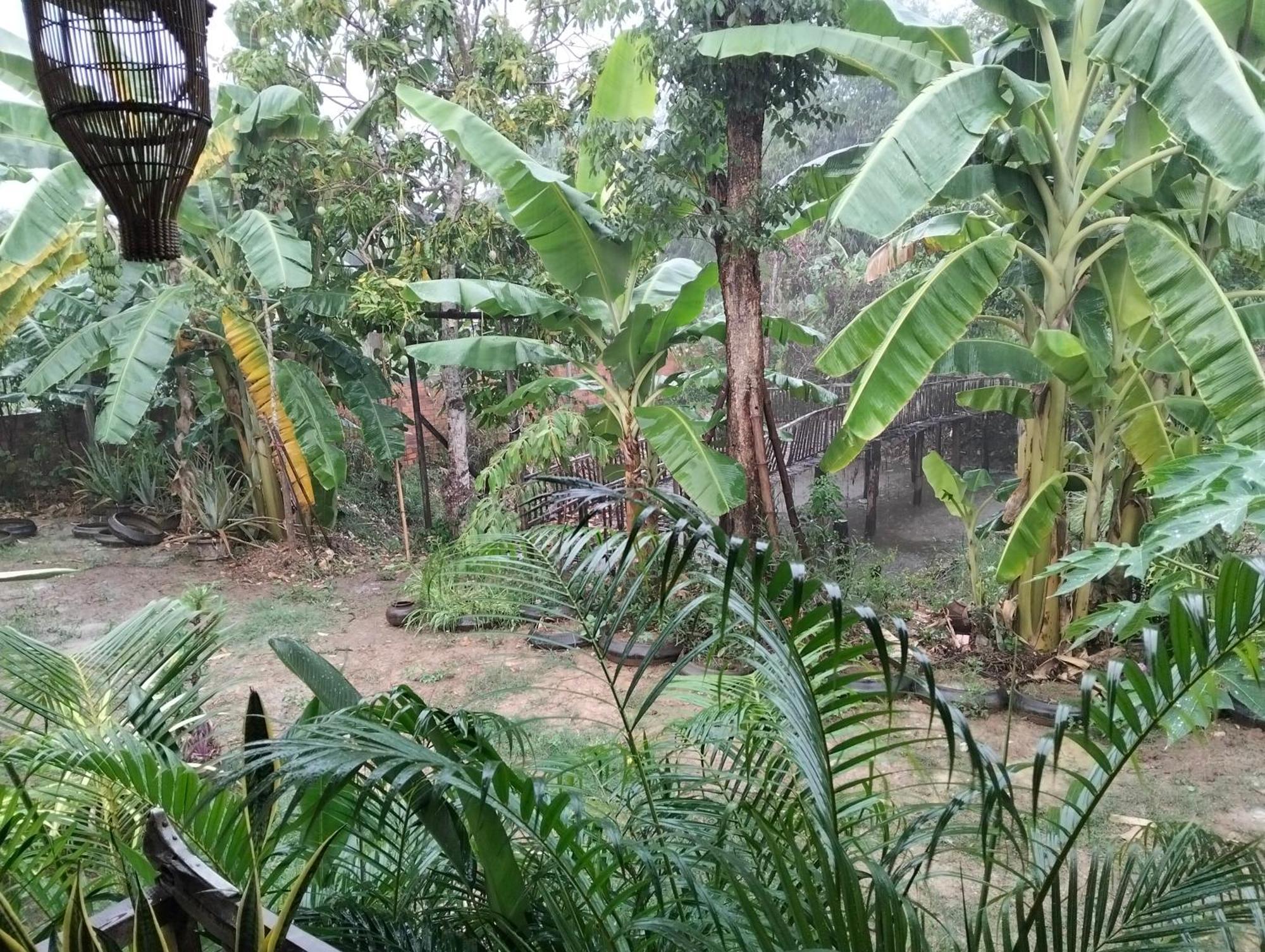 Homestay Odambang Village